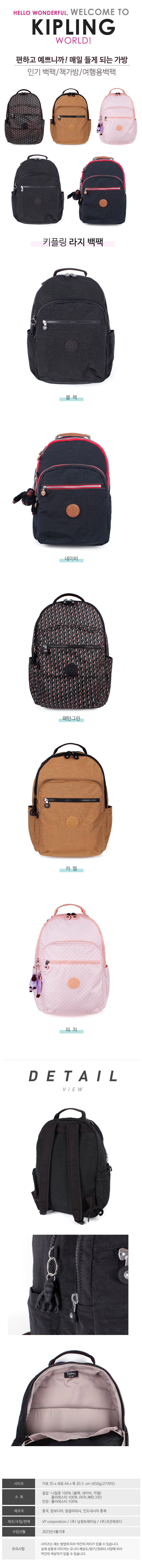 라지 백팩(Seoul)